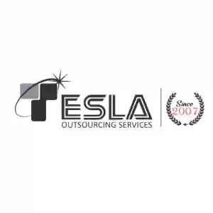 Tesla Outsourcing Services