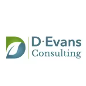 D Evans Consulting Inc.