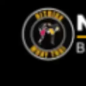 bankstownmartialartsnitrixx