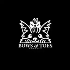 Bows and Toes