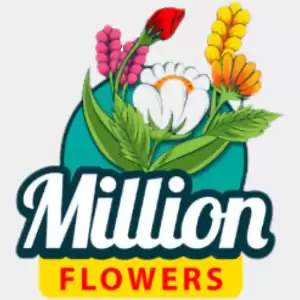 Million Flowers