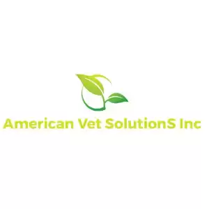 American Vet Solutions Inc