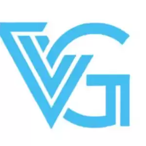 Values Group LLC