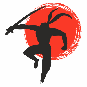Ninja digital solutions