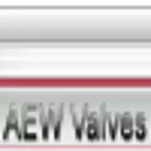 aewvalvesbusiness