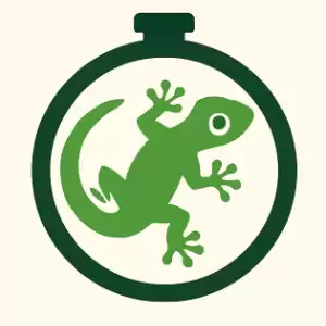 GeckoWatch