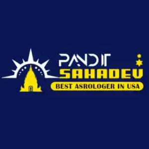 Astrologer Pandit Sahadev Negative Energy Removal Expert