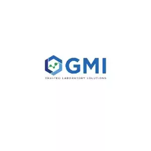 GMI INC