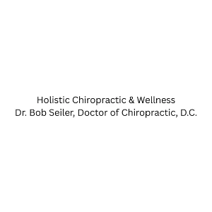 holisticchiropracticwellnessdr