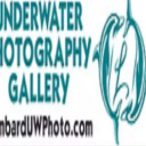 LombardUwPhoto