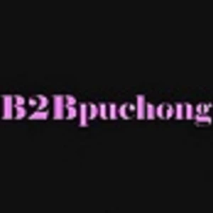 B2B Escort Girls