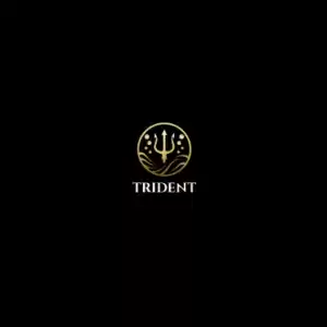 tridentcleaningpros