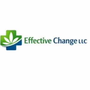 Effective Change LLC