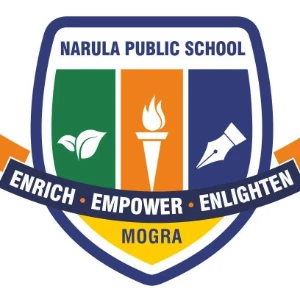 Narula School