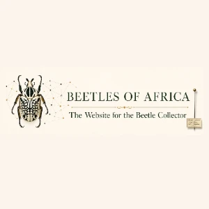 Beetles of Africa